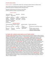 Dailės didaktikos teorija 10 puslapis