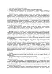 Dailės šakos 2 puslapis