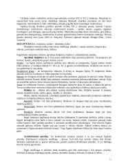 Dailės šakos 11 puslapis