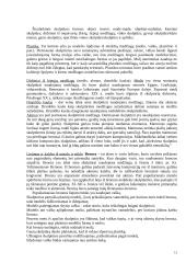 Dailės šakos 12 puslapis