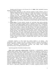 Dailės šakos 13 puslapis