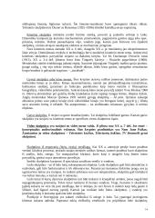 Dailės šakos 14 puslapis