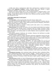 Dailės šakos 18 puslapis