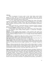 Dailės šakos 20 puslapis