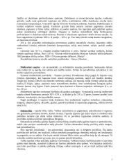 Dailės šakos 3 puslapis