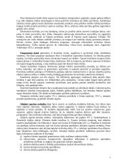 Dailės šakos 4 puslapis