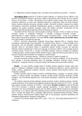 Dailės šakos 5 puslapis