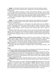 Dailės šakos 6 puslapis