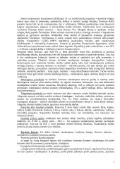 Dailės šakos 7 puslapis