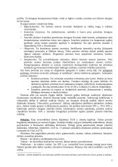 Dailės šakos 8 puslapis