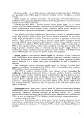 Dailės šakos 9 puslapis