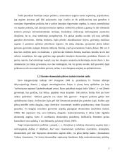 Darni ekonominė plėtra 2 puslapis