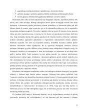 Darni ekonominė plėtra 11 puslapis