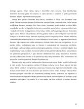 Darni ekonominė plėtra 12 puslapis