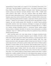 Darni ekonominė plėtra 4 puslapis