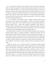 Darni ekonominė plėtra 5 puslapis