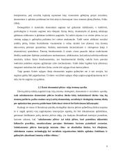 Darni ekonominė plėtra 9 puslapis