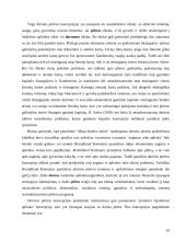 Darni ekonominė plėtra 10 puslapis