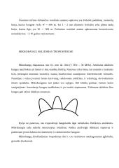Dekametrinių bangų rombinės antenos 4 puslapis