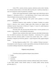 Dirigavimo menas 3 puslapis