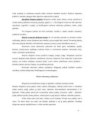 Dirigavimo menas 5 puslapis
