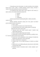 Dirigavimo menas 6 puslapis
