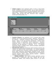 Duomenų bazių technologijos vystymasis 4 puslapis