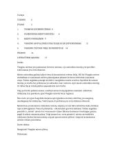 Visagino miesto plėtros analizė