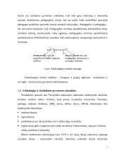 Edukologijos teorija 3 puslapis