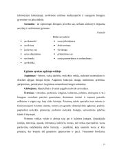 Edukologijos teorija 10 puslapis