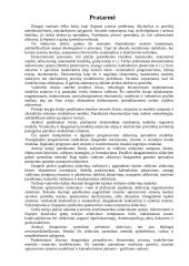 Ekonometrija 2 puslapis