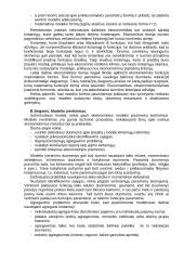Ekonometrija 11 puslapis