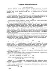 Ekonometrija 13 puslapis
