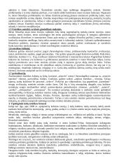 Estetika filosofijoje 2 puslapis