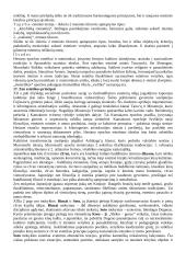 Estetika filosofijoje 11 puslapis