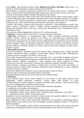 Estetika filosofijoje 3 puslapis