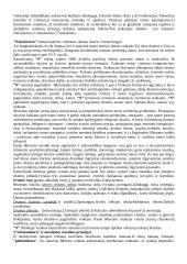 Estetika filosofijoje 4 puslapis