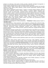 Estetika filosofijoje 5 puslapis