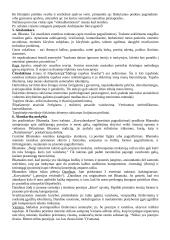 Estetika filosofijoje 6 puslapis