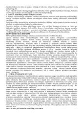 Estetika filosofijoje 7 puslapis