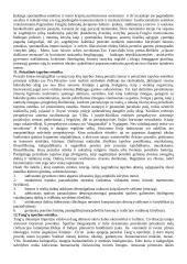 Estetika filosofijoje 8 puslapis