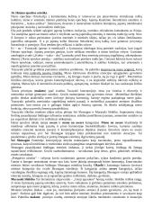 Estetika filosofijoje 10 puslapis