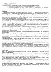 Etikos teorija 3 puslapis