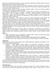 Etikos teorija 8 puslapis