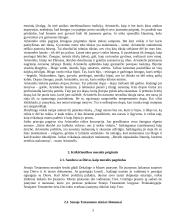 Etikos istorija 3 puslapis