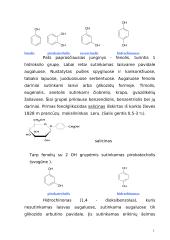 Fenolinių glikozidų bendra charakteristika 2 puslapis