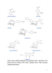 Fenolinių glikozidų bendra charakteristika 4 puslapis
