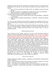 Filosofijos samprata. Pagrindinės filosofijos kilmės teorijos. Filosofijos istorijos periodizavimas. Filosofijos raidos etapai. 13 puslapis