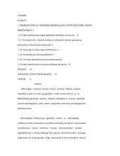 Hidrologijos kursinis projektas