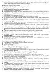 Galinės smegenys 3 puslapis